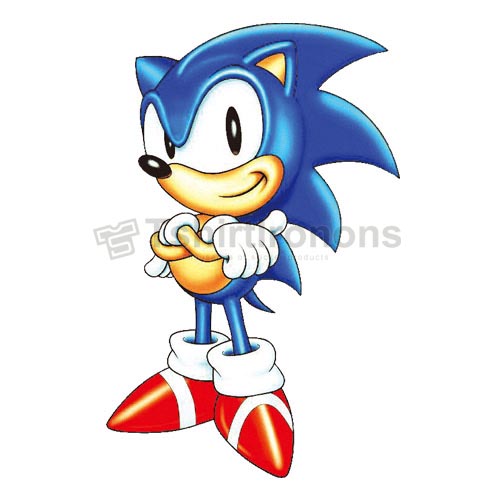 Sonic the Hedgehog T-shirts Iron On Transfers N7978 - Click Image to Close